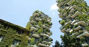 green-construction